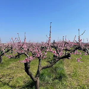  Alloggio per agriturismo Corte Vecia Della Corte